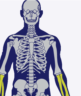Injuries Board - Claim Estimation Calculator