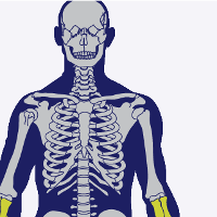 Injuries Board - Claim Estimation Calculator